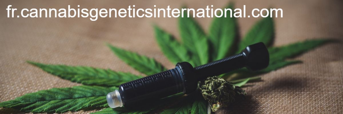 fr.cannabisgeneticsinternational.com
